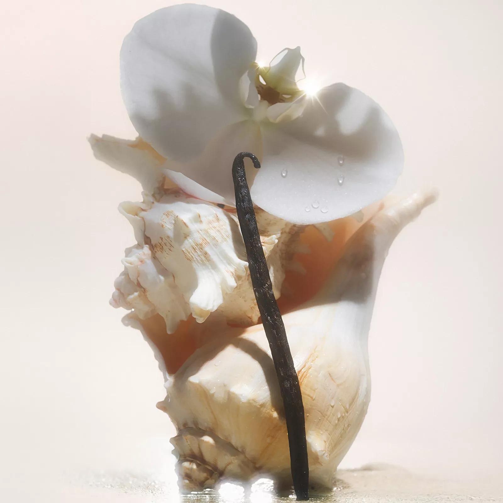 Multi Lipid Body Butter (Salt Water Vanilla) 283g — image 2