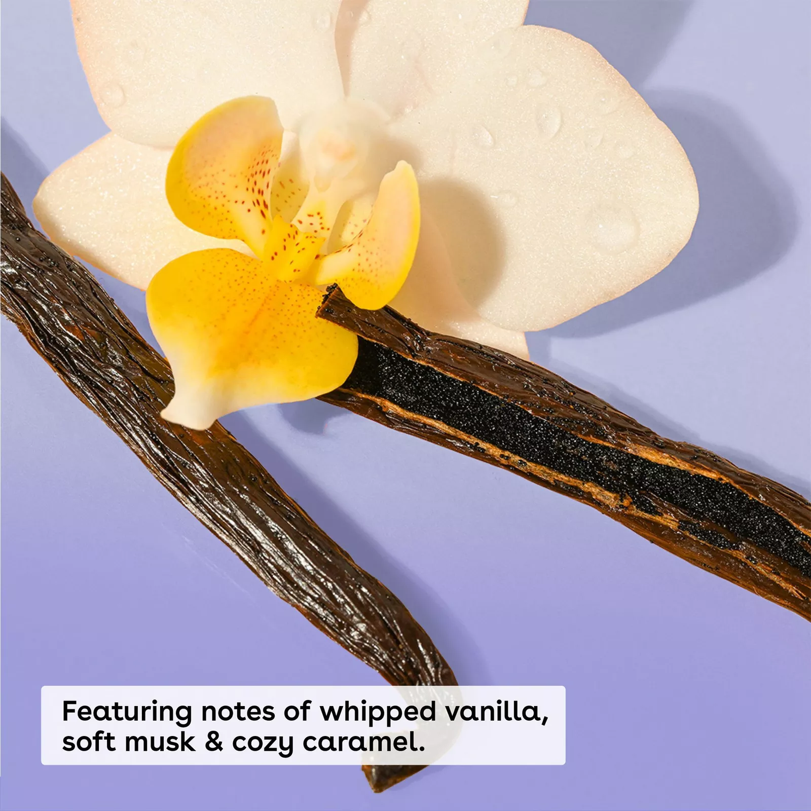 Vanilla Cashmere Body Oil (177ml) — image 2
