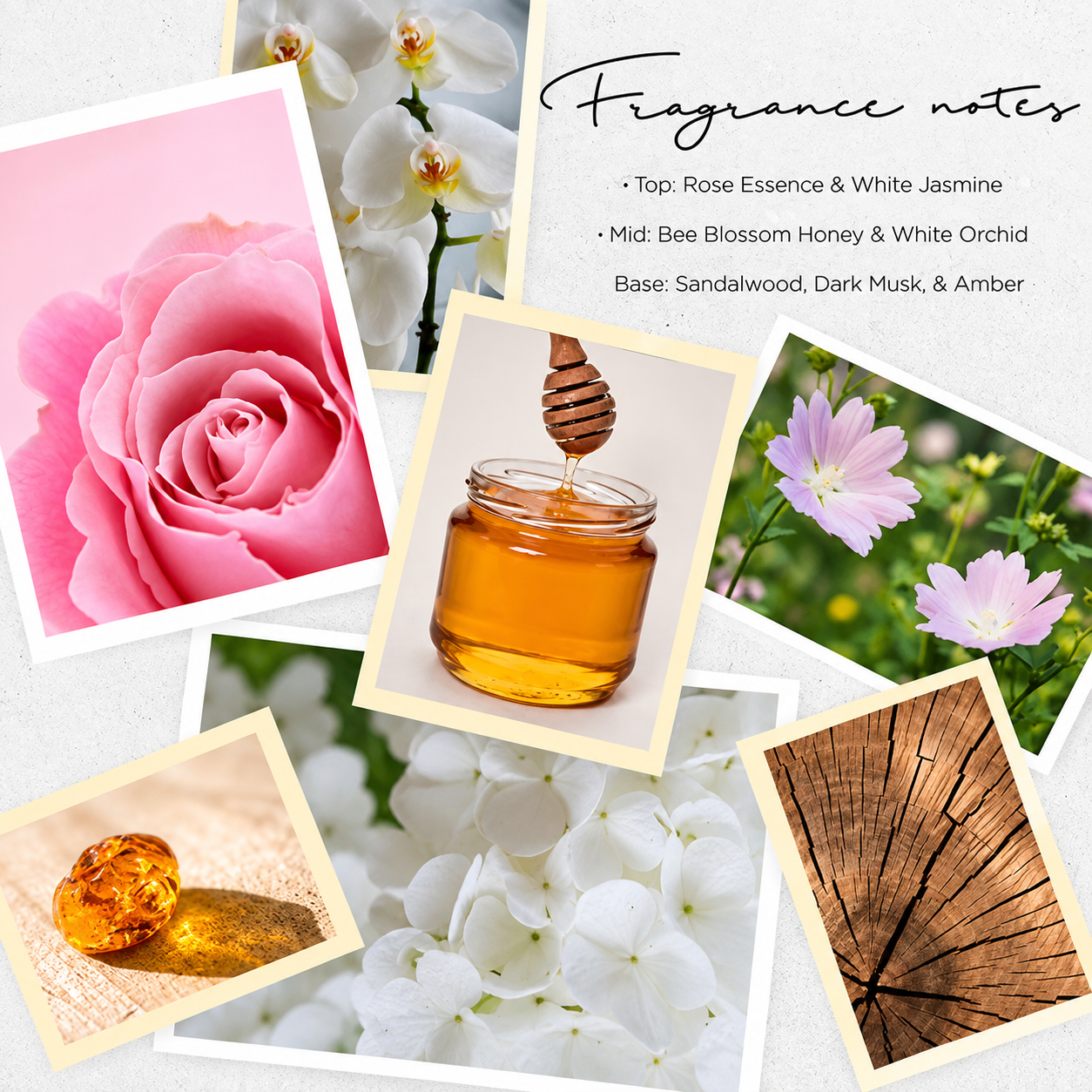 Everlasting 4-Piece Gift Set — image 4