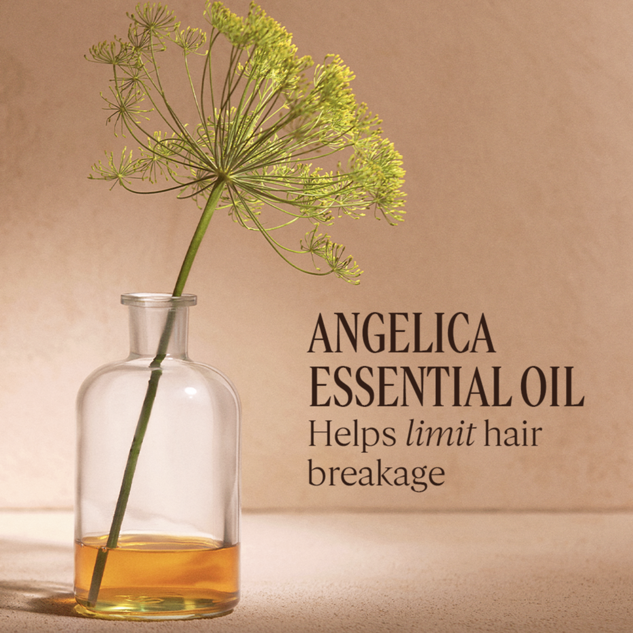 Intensive Repair Anti-Frizz Emulsion (100ml) — image 2