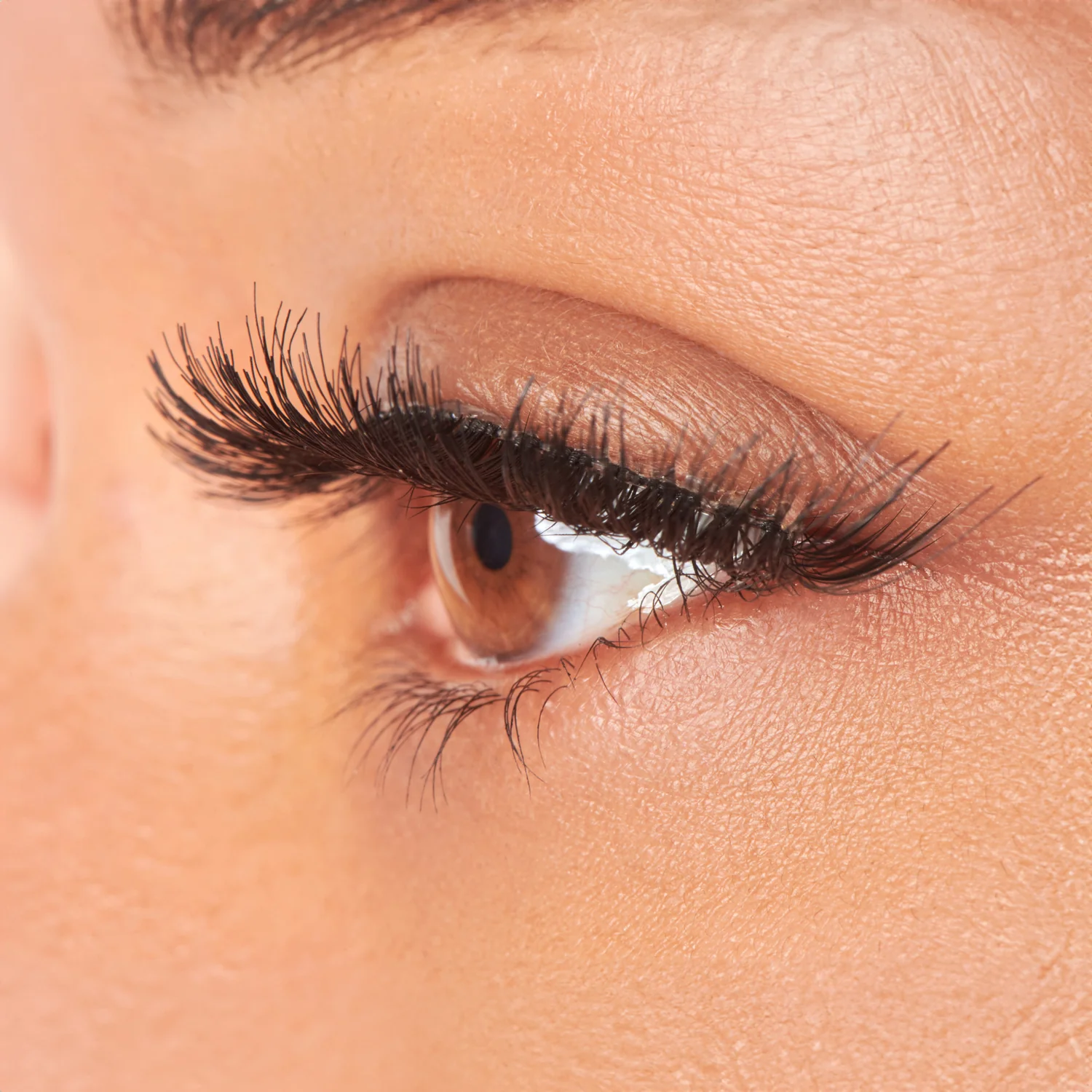 Curated Collection Lashes (5 Pairs) — image 2