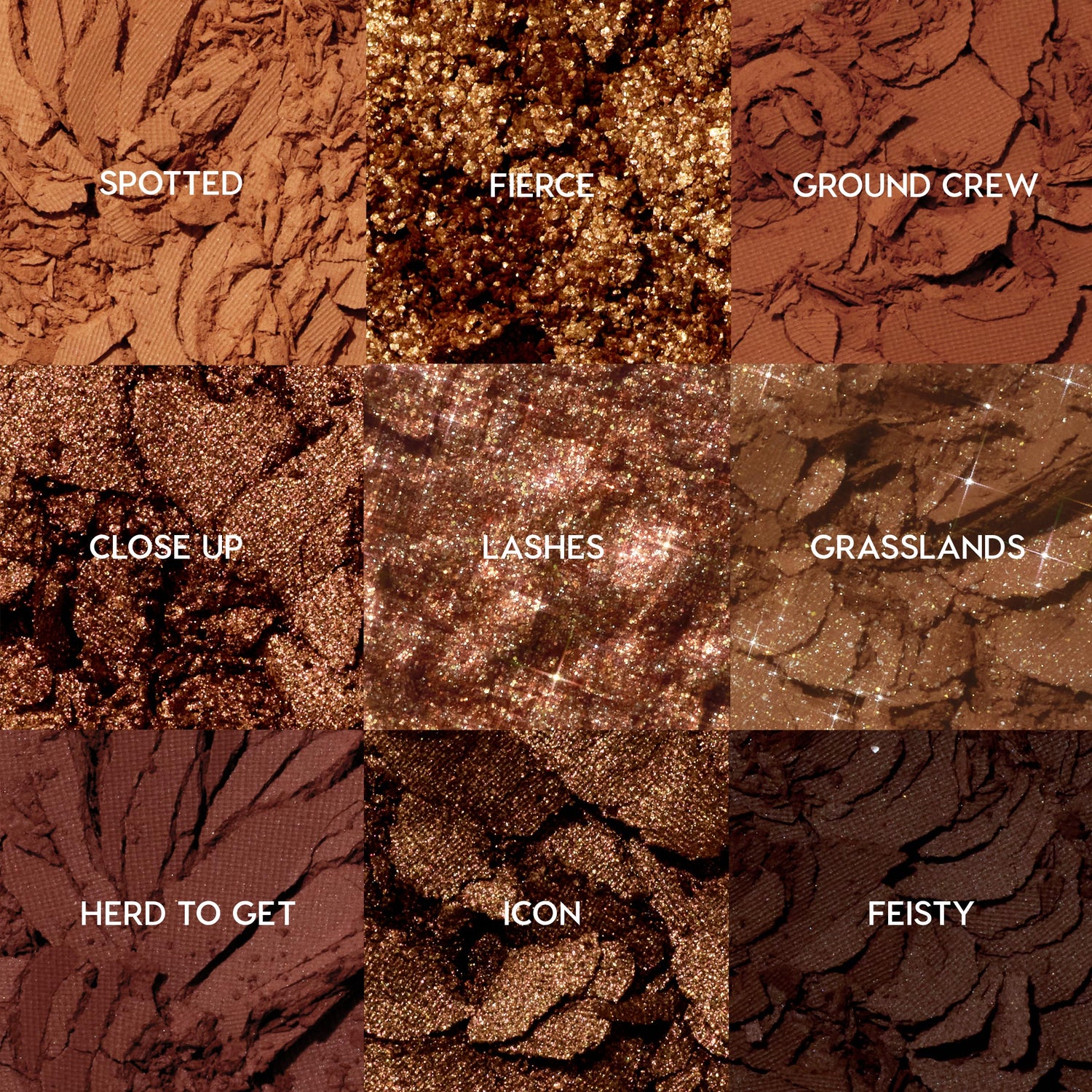 9-Pan Palette (Wild Child) — image 2