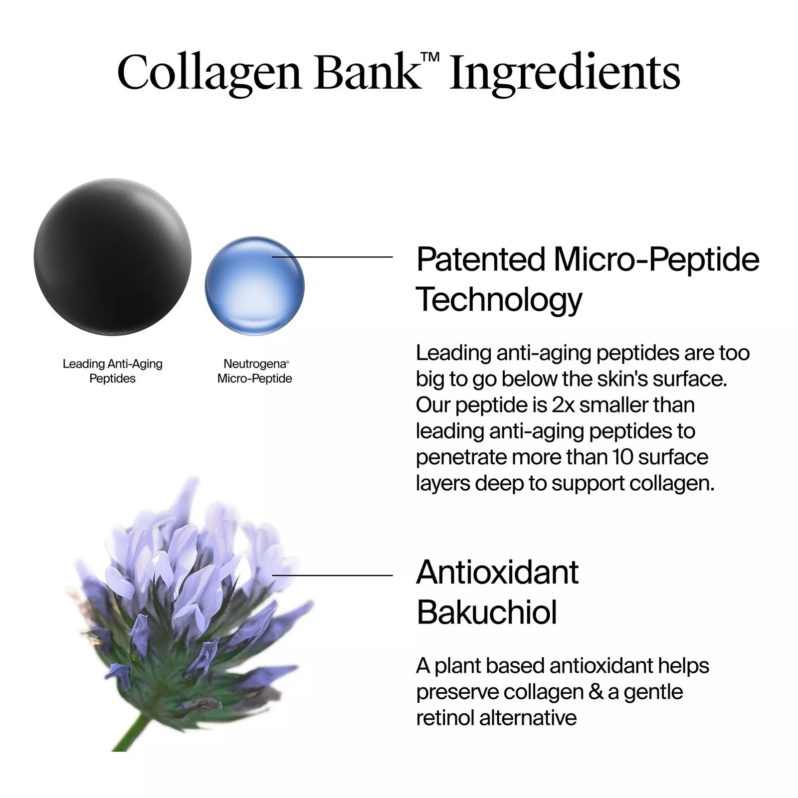 Collagen Bank Daily Face Moisturizer (59ml) — image 6